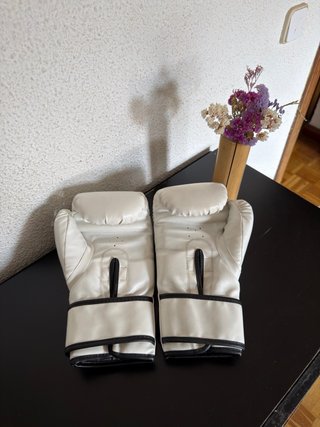 Guantes de Boxeo Everlast Blancos