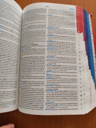 Diccionario avanzado primaria: lengua española