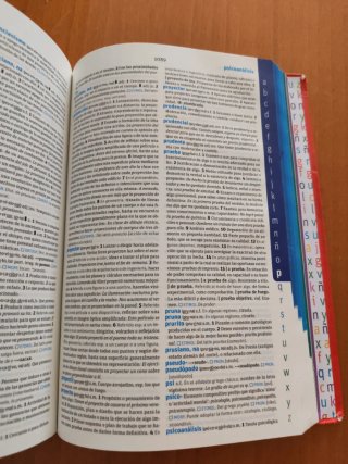 Diccionario avanzado primaria: lengua española