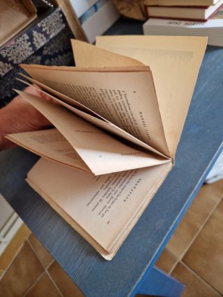 Libro antiguo Brañaflor ,INTONSO. De Manuel Llano.