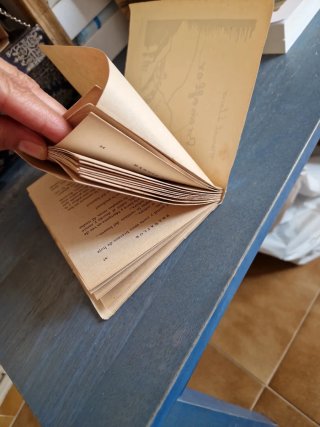 Libro antiguo Brañaflor ,INTONSO. De Manuel Llano.