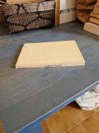 Libro antiguo Brañaflor ,INTONSO. De Manuel Llano.