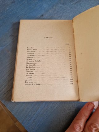 Libro antiguo Brañaflor ,INTONSO. De Manuel Llano.