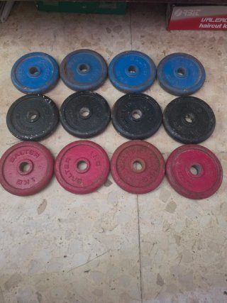 Lote de 12 Discos de Pesas Salter 1kg
