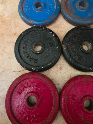 Lote de 12 Discos de Pesas Salter 1kg
