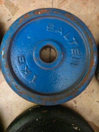 Lote de 12 Discos de Pesas Salter 1kg