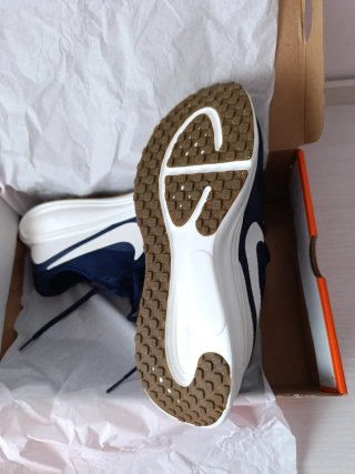 Zapatillas Nike Azul y Blanco