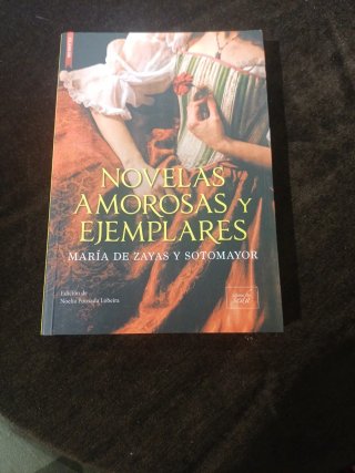 Novelas amorosas y ejemplares