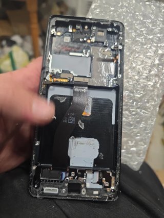 Pantalla Samsung S21 Ultra 5G OLED 6.8