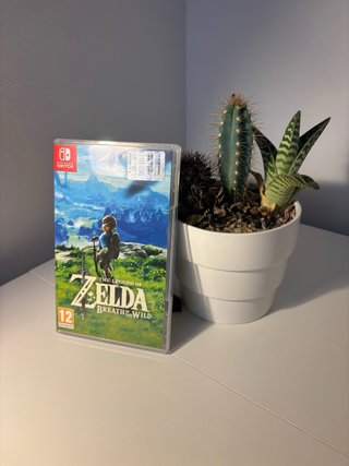 The Legend of Zelda: Breath of the Wild (Switch)