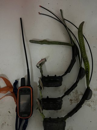 Garmin Alpha 100 + 3 Collares TT15