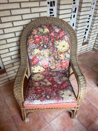 Conjunto 2 Sillones Terraza Ratán Flores