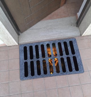 Tappeto horror It da ingresso