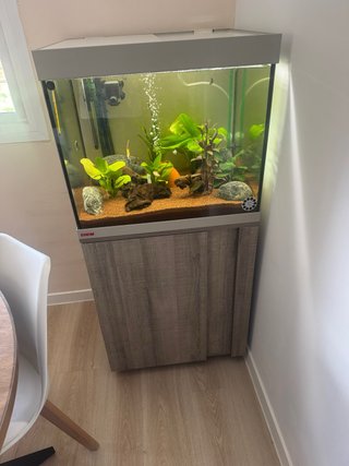 Acuario Eheim con Mueble y accesorios