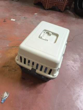 Transportín para gatos