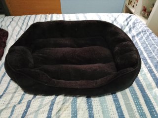 Cama para Perro Negra