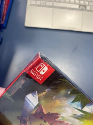 Tunic Nintendo Switch