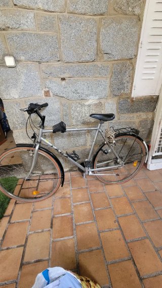 Bicicleta de paseo plateada
