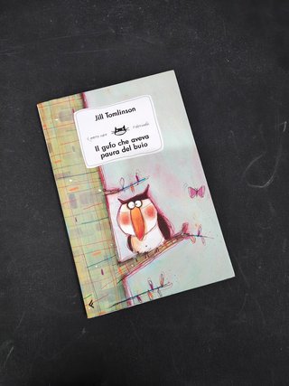 Libro Il gufo che aveva paura del buio Jill