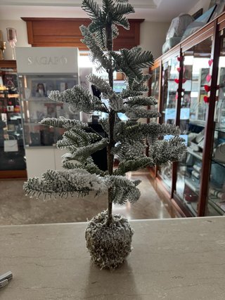 Albero innevato Hervit