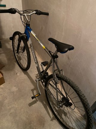 Bicicleta TORBIKE