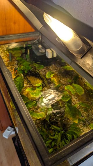 Acuario 60L con mueble