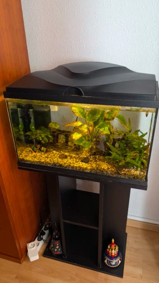Acuario 60L con mueble