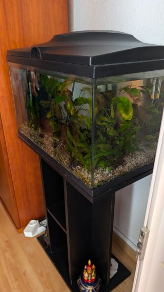Acuario 60L con mueble