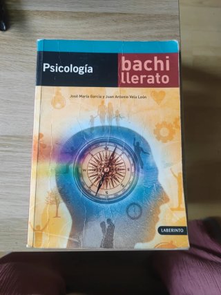 Psicología, Bachillerato
