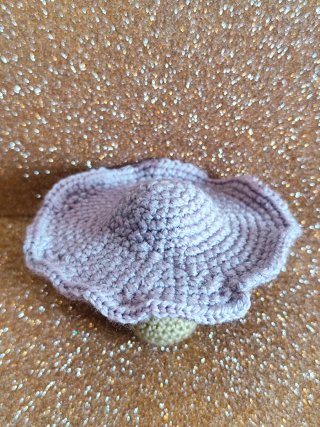 Duo di funghi decorativi all'uncinetto