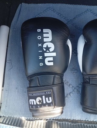 Guantes de Boxeo Molu 14oz