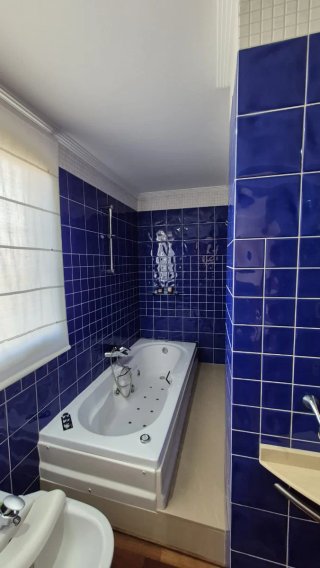 SERVICIOS PROFESIONALES