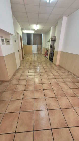 SERVICIOS PROFESIONALES