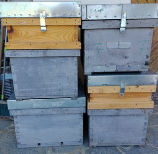 Cajas Apícolas Tipo Dadant
