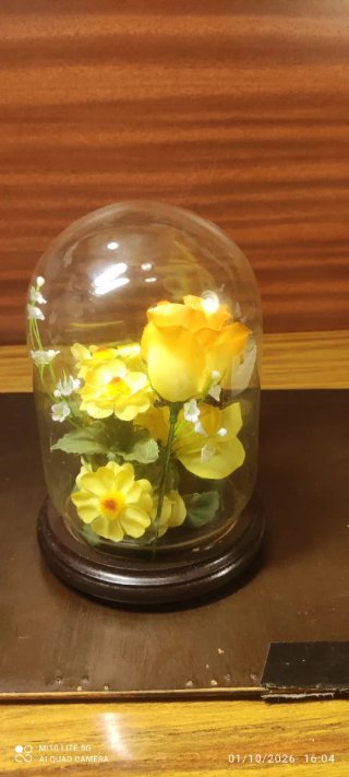 Cúpula con Flores Preservadas