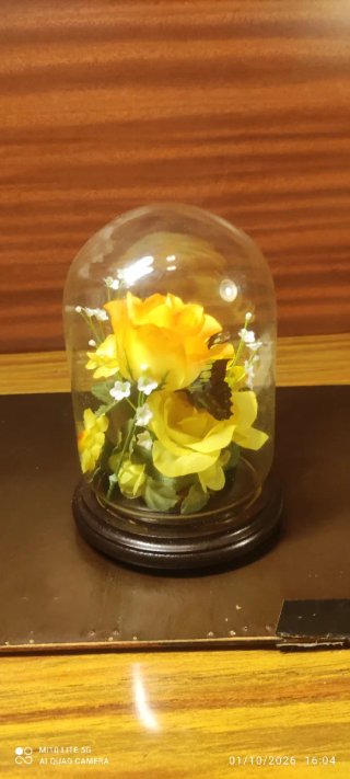 Cúpula con Flores Preservadas