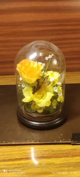 Cúpula con Flores Preservadas