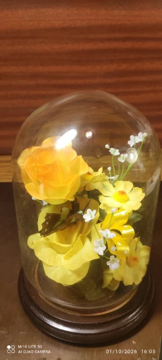 Cúpula con Flores Preservadas