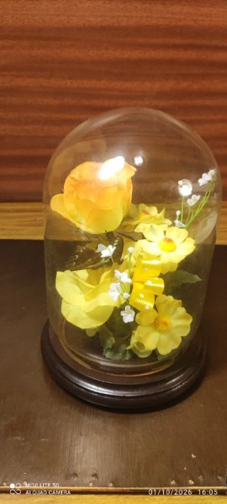 Cúpula con Flores Preservadas