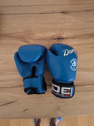 Guantes de Boxeo para Niño Danger