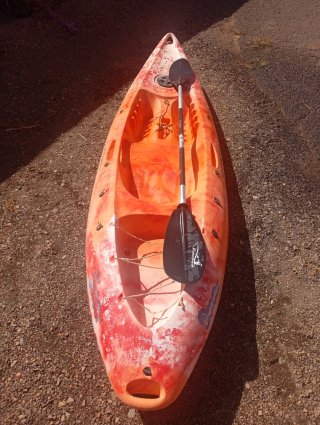 Piragua deportiva naranja