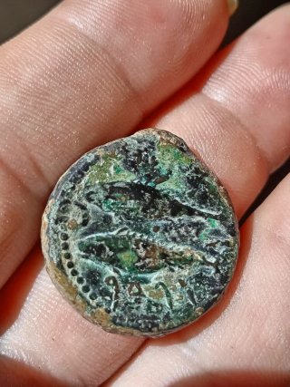 Moneda Antigua Gades Cádiz
