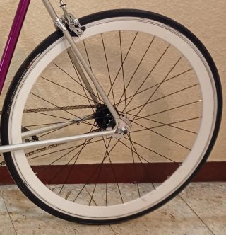 Ruedas Fixie