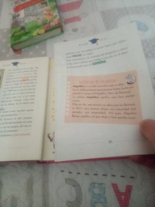 Lote libros tea stiltom