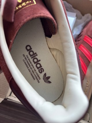 Adidas Gazelle Indoor Talla 42