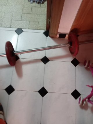 2 Discos de Pesas Salter 5kg