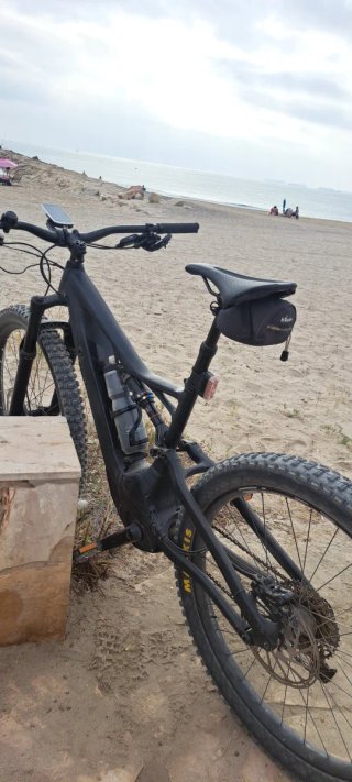 Bicicleta Eléctrica Specialized Turbo Levo
