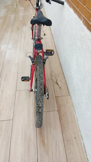 Bicicleta de Montaña Roja