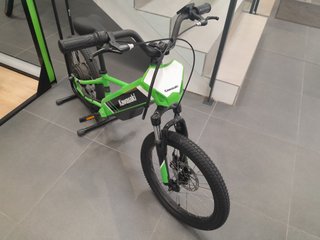 Kawasaki Elektrode 20