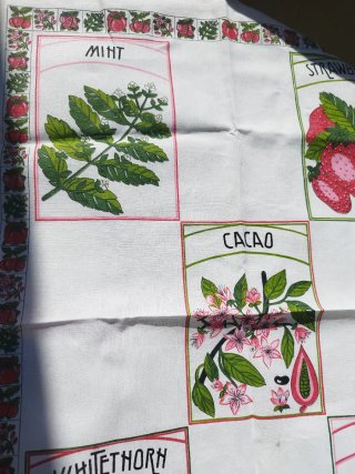 Set 2 strofinacci e sacca in cotone